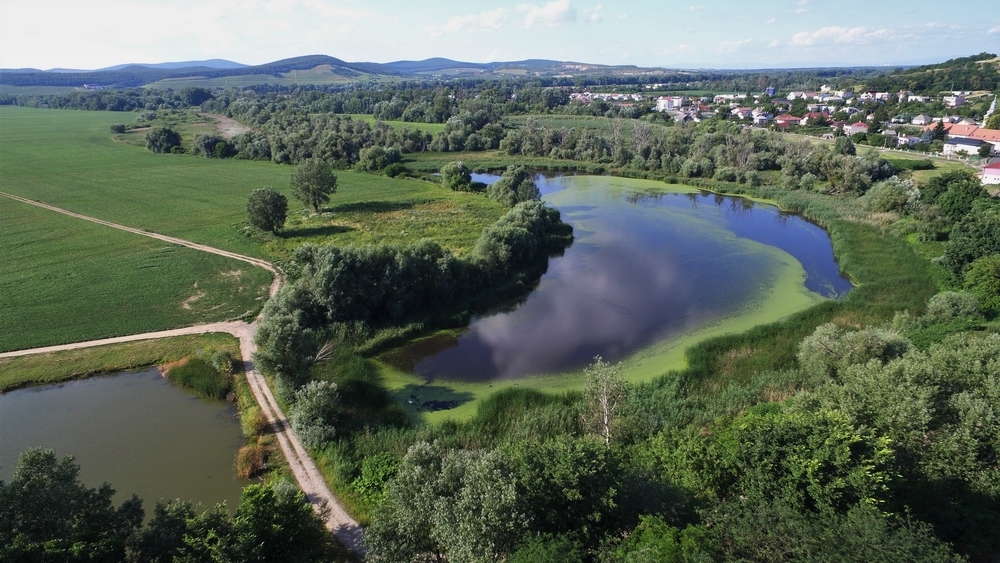 Obec Streda nad Bodrogom 4